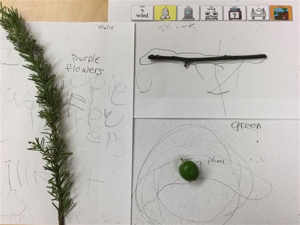 What we watch in nature.